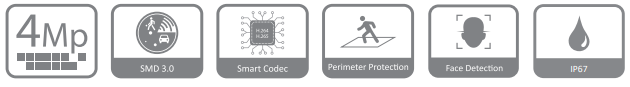 مشخصات دوربین DH-IPC-HFW4441T-ZAS در یک فریم