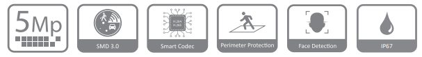 مشخصات دوربین DH-IPC-HFW4541T-AS در یک فریم