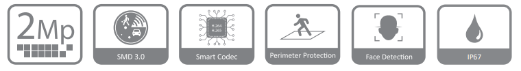 مشخصات دوربین DH-IPC-HDW4241EM-S در یک فریم