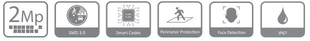 مشخصات دوربین DH-IPC-HFW4241T-ZAS در یک فریم