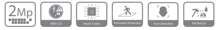 مشخصات دوربین DH-IPC-HDBW4241E-AS  در یک فریم