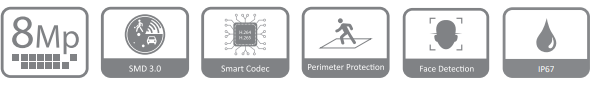 مشخصات دوربین DH-IPC-HDW4841EM-S در یک فریم