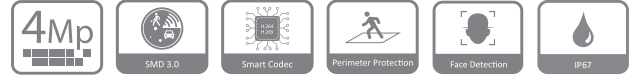 مشخصات دوربین DH-IPC-HDW4441EM-S در یک فریم