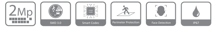 مشخصات دوربین DH-IPC-HFW4241E-AS در یک فریم