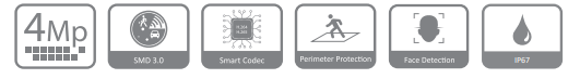 مشخصات دوربین DH-IPC-HFW4441T-AS در یک فریم