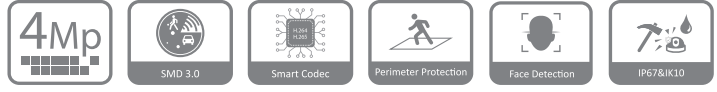 مشخصات دوربین DH-IPC-HDBW4441R-ZAS در یک فریم