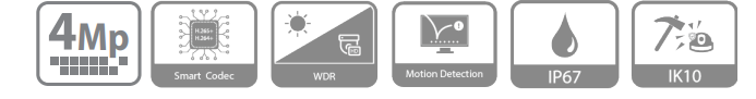 مشخصات دوربین DH-IPC-HDBW1431RP-ZS-S4 در یک فریم